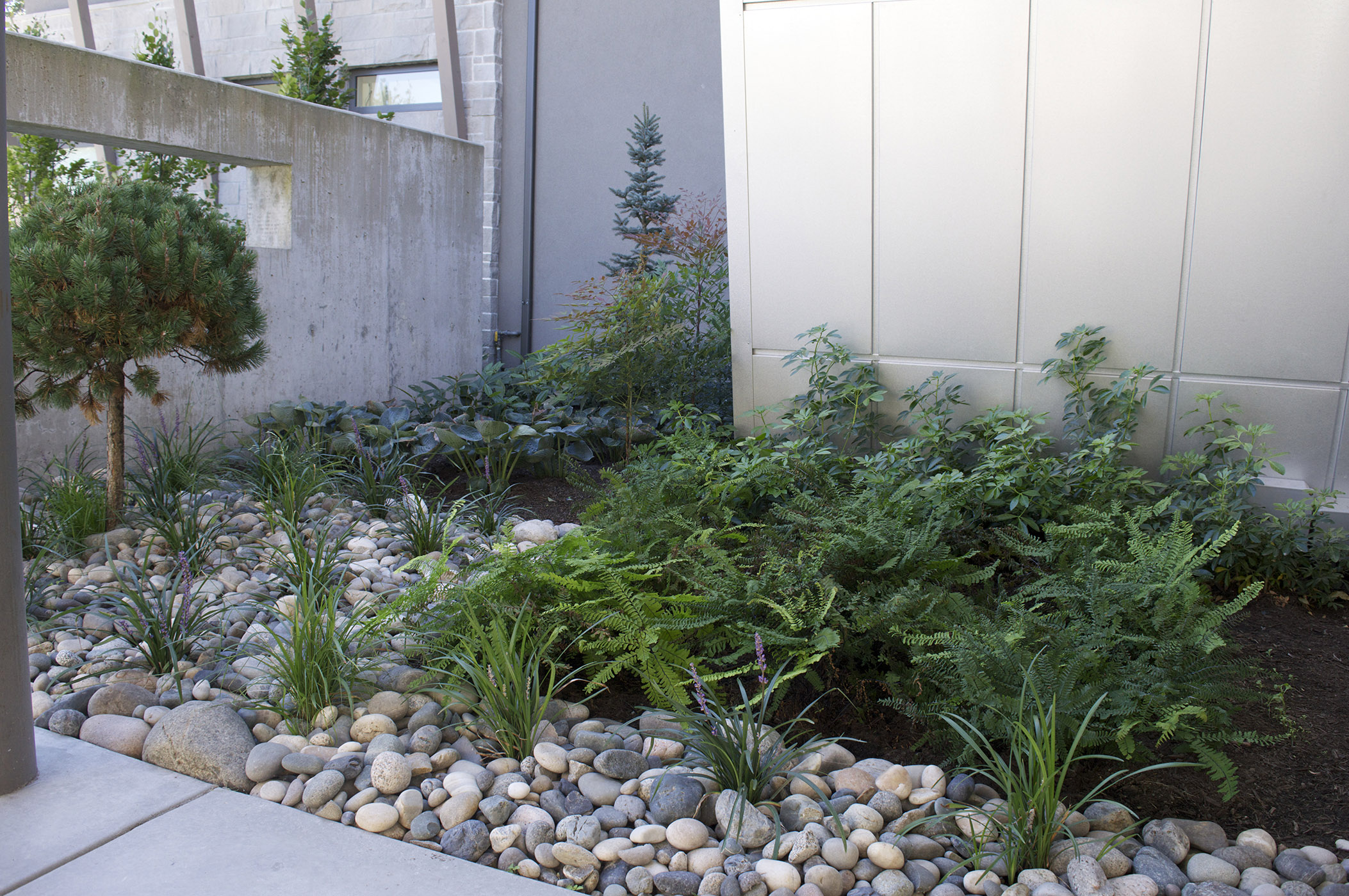 landscaping abbotsford